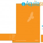 Logo en huisstijl van Aquilasoft
